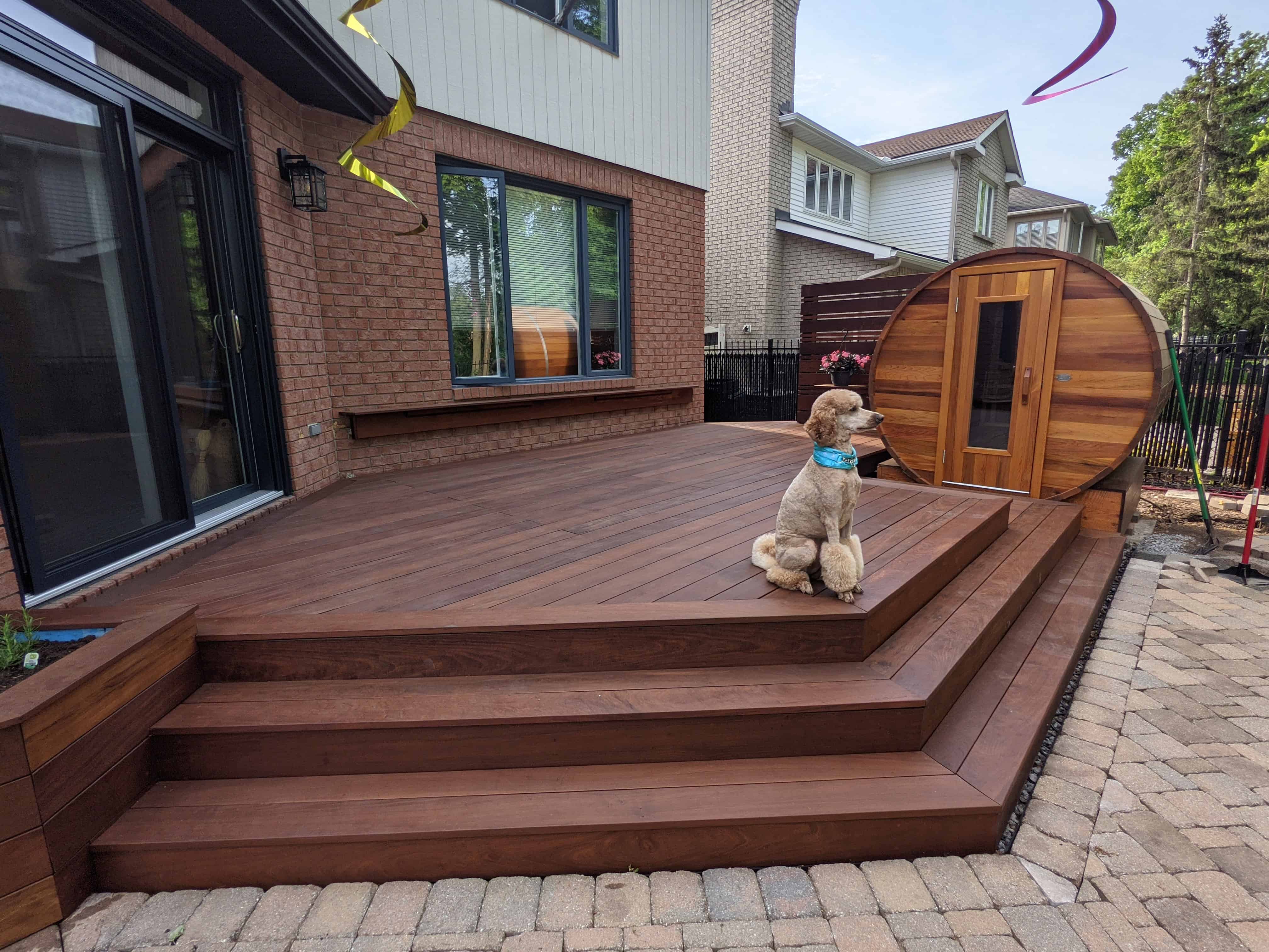 Dog standing on a finished IPE deck and stair project in Kanata