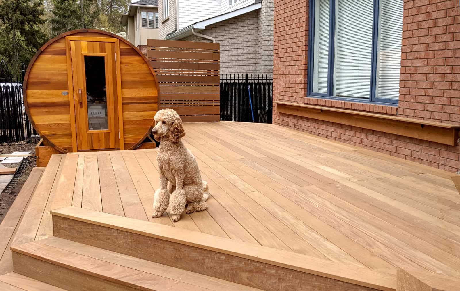 Dog sitting on a finished backyard deck in Ottawa